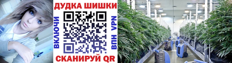 где купить hydra как войти МАРИХУАНА гибрид Вязьма